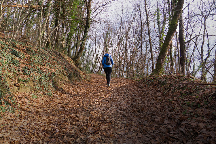 Cosa vedere a Prepotto e dintorni | Colli di Poianis