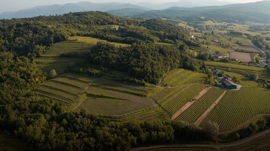 Luogo | Colli di Poianis